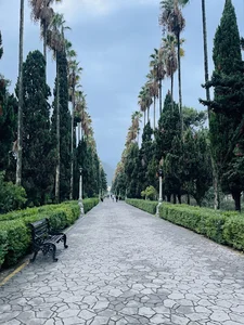 دادگستری شهرستان رامسر