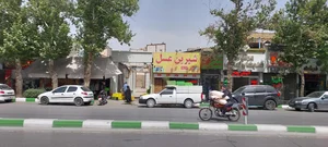 شیرین عسل 2