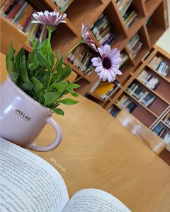 کتابخانه و سالن مطالعه شفق