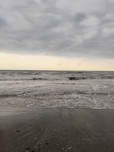 ساحل رویان