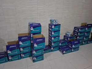 لنت ترمز هوردی