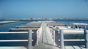 شرکت مجستیک مارین - شعبه قشم