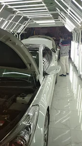 تشخیص رنگ باغشنی - نیکبخت