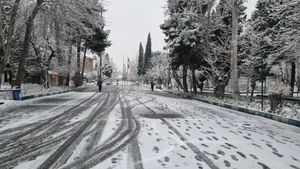 مجتمع خوابگاهی کوی علوم پزشکی دانشگاه تهران 4