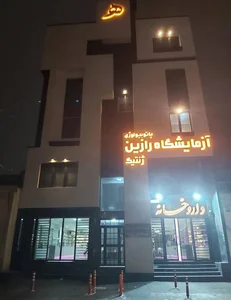 دکتر نفیسه مردانی 2