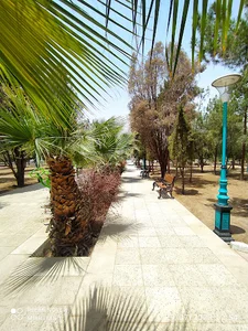 پارک آزادشهر