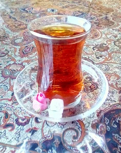 کلینیک دامپزشکی دکتر آرش
