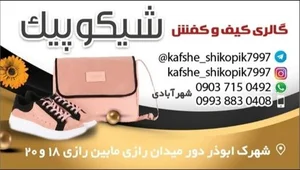 کفش شیکوپیک 2