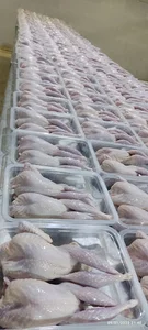 حسنا پروتئین