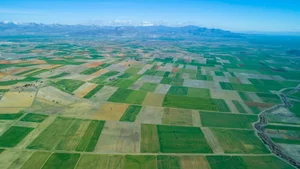 زمین کشاورزی صباغی