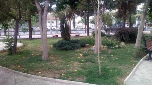 بوستان امام رضا 3