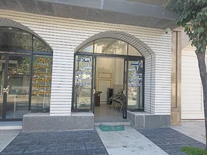 مشاور املاک امیر علی