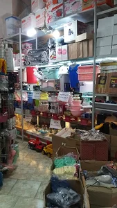 پلاسکو پاندا