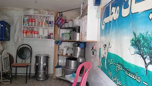 لبنیاتی دولتشاهی