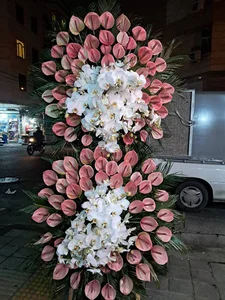 گل لیندا