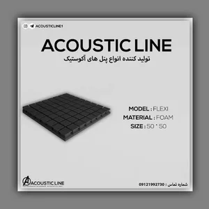 آکوستیک لاین