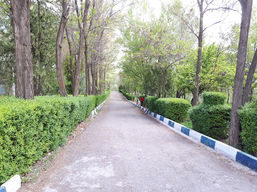 شهربازی خانواده ملت شماره ۲