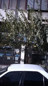 شرکت هواپیمایی 2