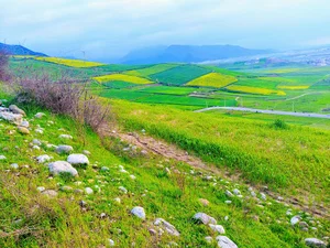 پارک و تفرجگاه زیتون تپه آزادشهر