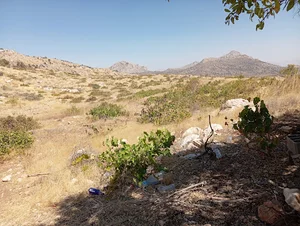 مشهدی امیر صادقی