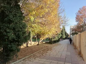 بوستان نمازی 5