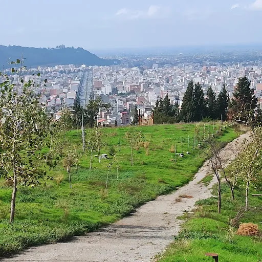مازندران،بهشهر،فرهنگیان، اول کوی فرهنگیان