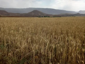 روستای سنگ سفید)( کلشاخ)