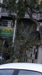 گیاهان دارویی آذین 3