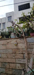 آموزشگاه تالار بورس