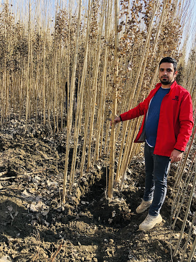 نهالستان بغدادی