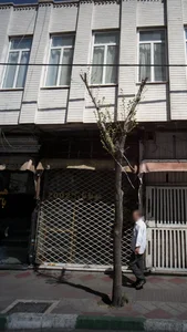 موبایل 2002