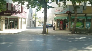 ایران لبنیات شاهین