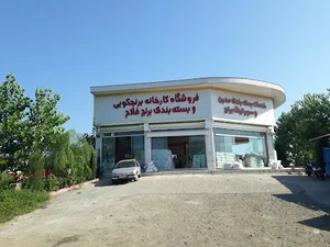 فروشگاه کارخانه برنجکوبی و سورتینگ فلاح گیلان