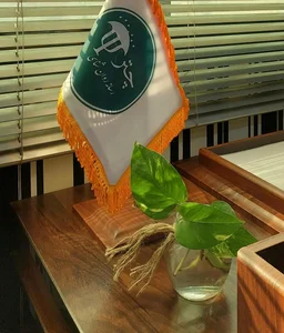 کلینیک روانشناسی چتر 4