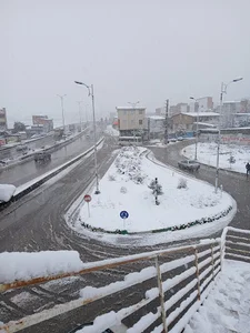 ۲۲بهمن
