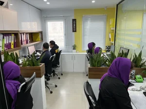 موسسه حسابداری دانا محاسب فکور