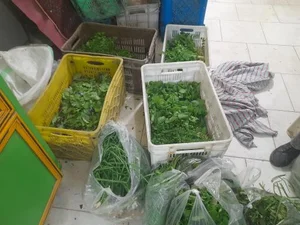 سبزی فروشی قنبری 3