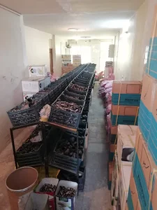 پخش لوله و اتصالات حاج حسین لطفی