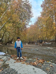 رستوران نامی
