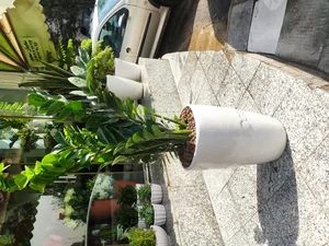 گلفروشی طبیعت سبز 5