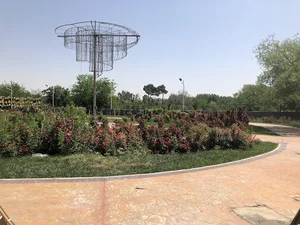 باغ نورانی گل رز