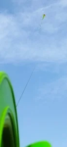 بادبادک نقش جهان 4