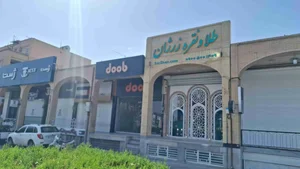 طلا و نقره زرژان 2
