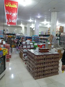 هایپر بلوط صفدری