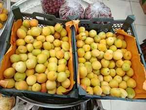 میوه فروشی جوکار 4