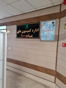 کمیسیون ماده100