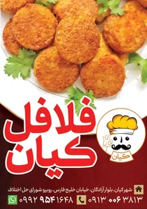 کارگاه تولید فلافل کیان 2