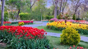 باغ لاله‌های اراک