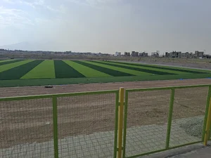ورزشگاه زمین چمن