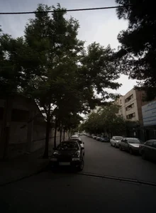 دکتر محمد صفریان
